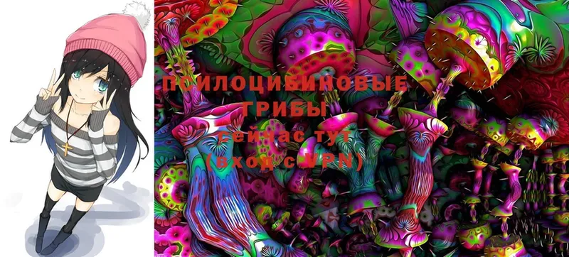 Галлюциногенные грибы MAGIC MUSHROOMS  кракен зеркало  Анапа  что такое наркотик 